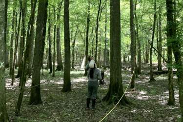 Students take measurements in a forest